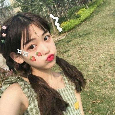 猎狐行动